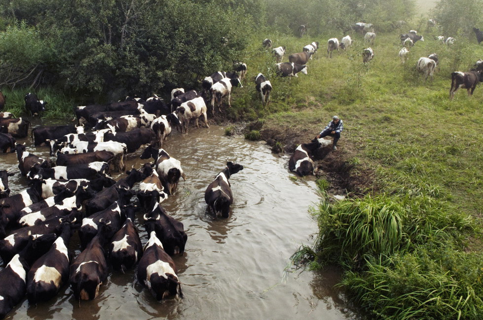 Badende Teil 2 - Die Zerstörung Idyllen (2010)