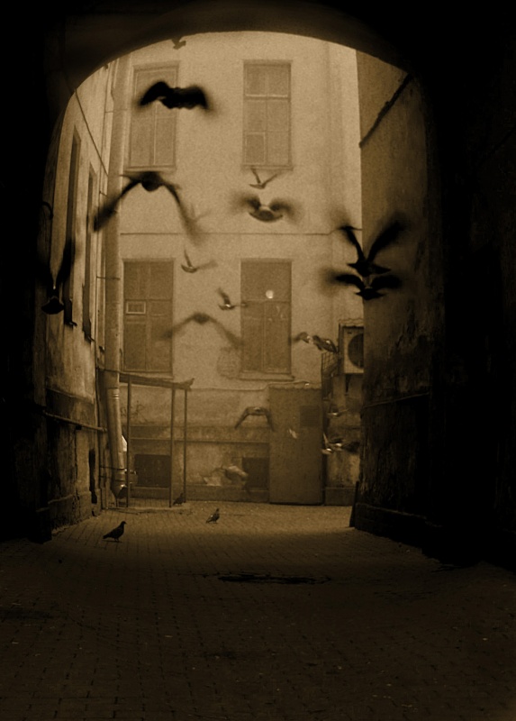 Der Schlaf der Vernunft ...