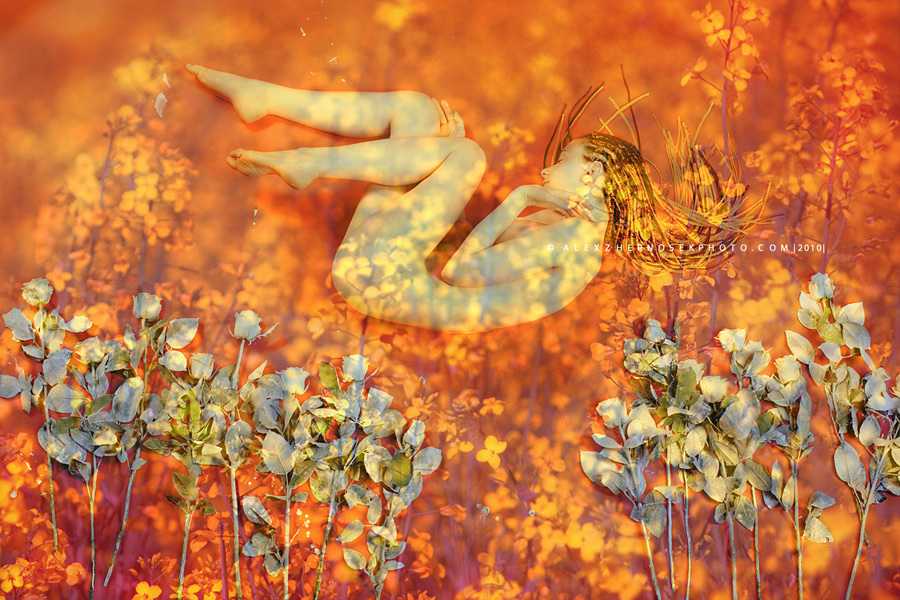 Farbige Träume ... # 0831