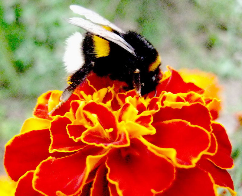 Ich würde lieber ein Profil ...