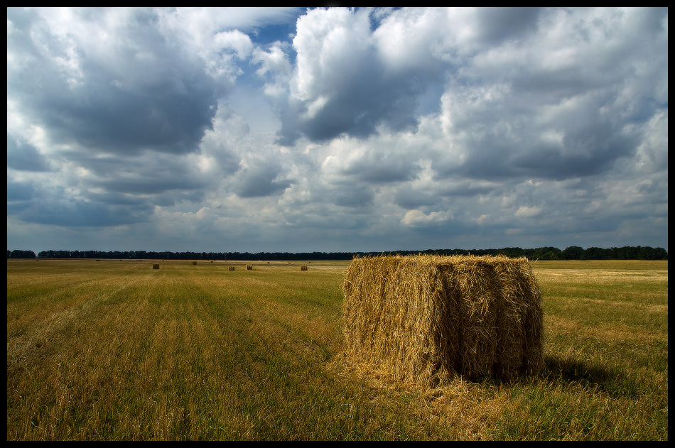 Attribut des ländlichen Landschaft