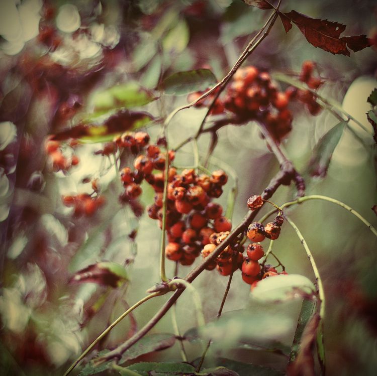 erinnere mich an den Sommer