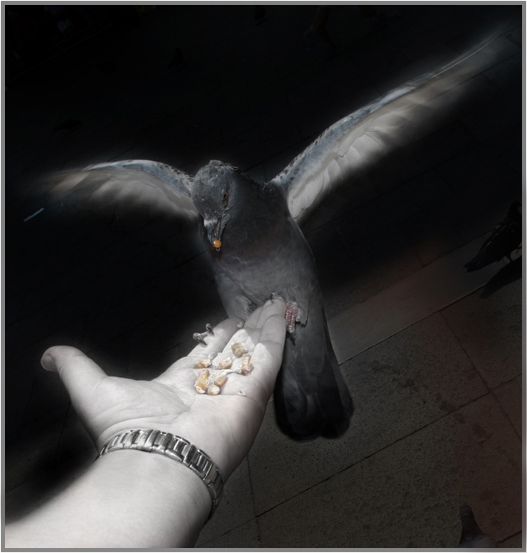 Hier ist meine Hand .....