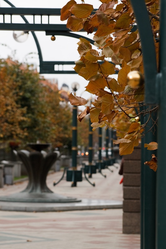 Herbst ist gekommen ...