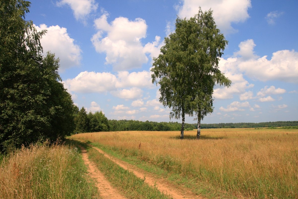 unter Hinweis auf die warmen Sommer ...