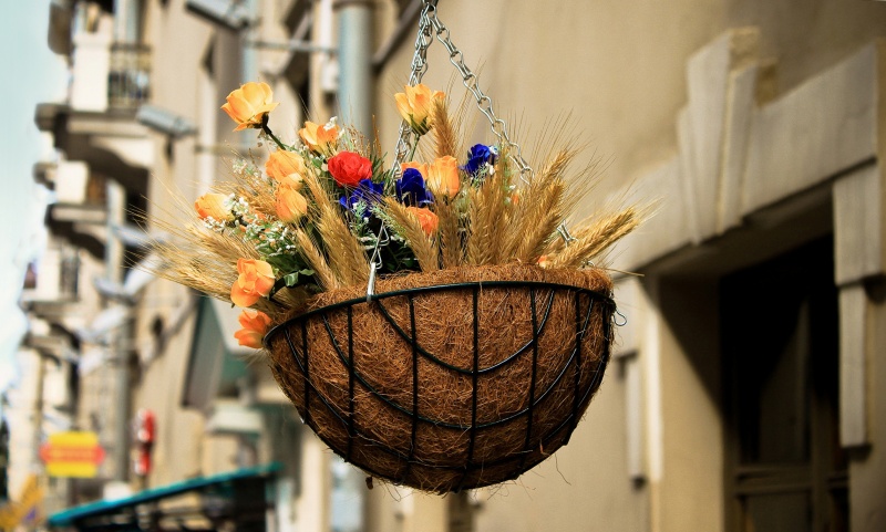 Basket of flowers