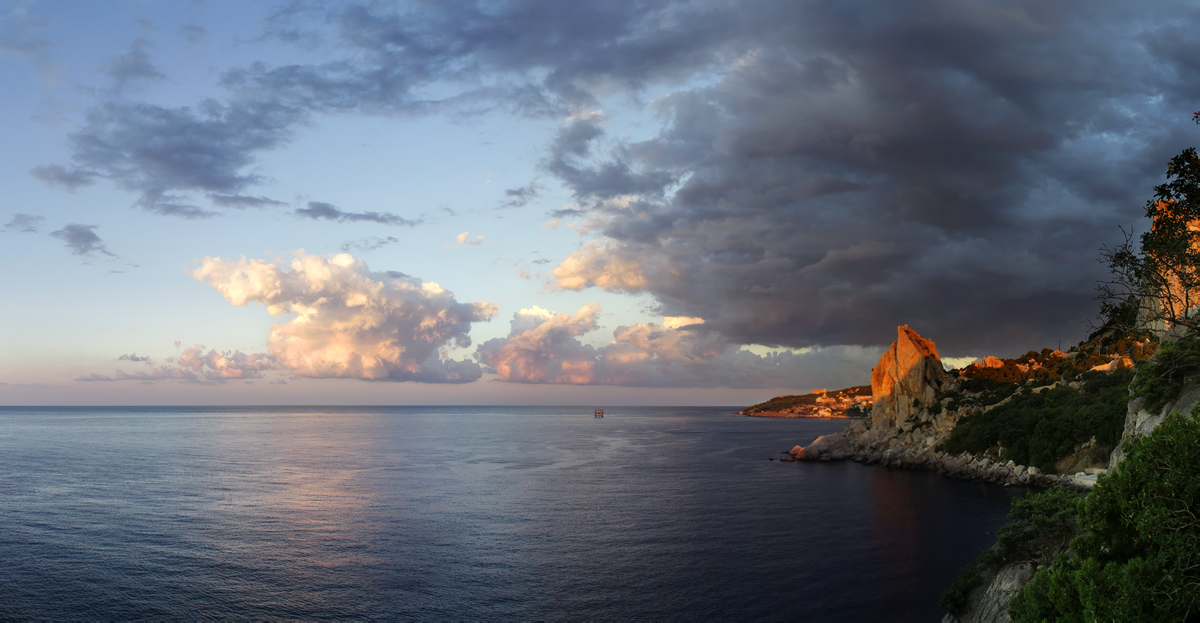 ........ Schwan Flügel im Morgengrauen ........