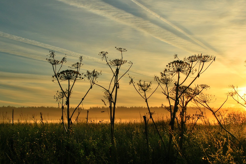 Treffen der Dämmerung