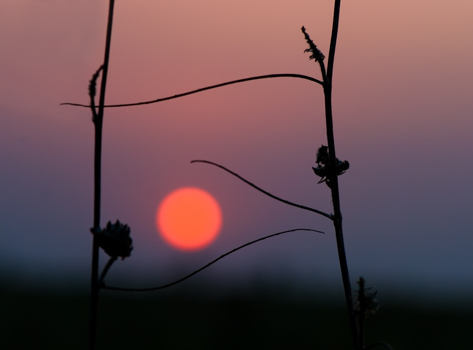 Ich höre den Tanz ...