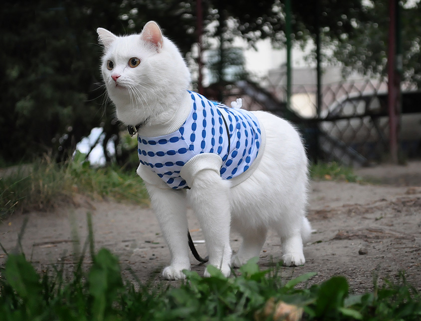 Strangers hier nicht gehen ...!