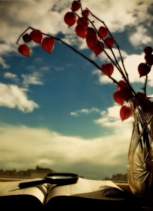 View through the Window