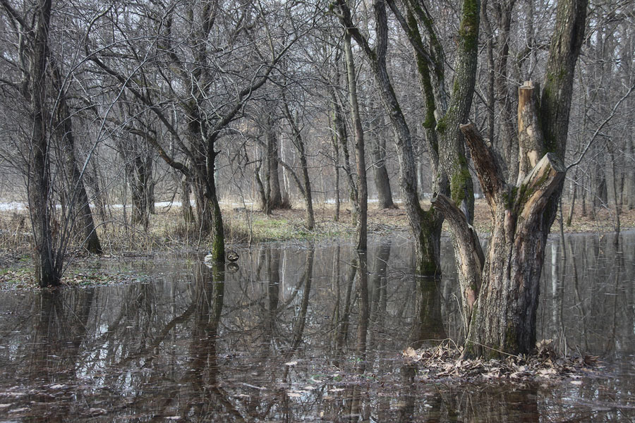 Im Frühjahr, wenn es