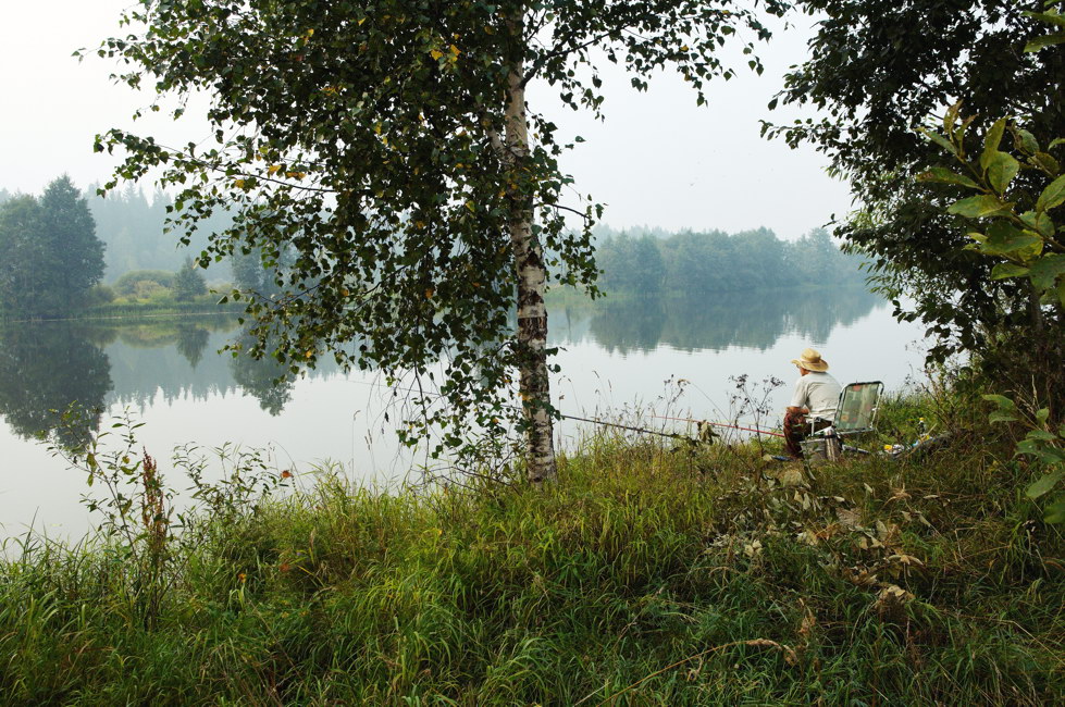 Psychotherapie (2010)