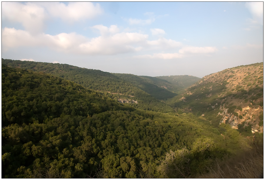 Auf dem Weg zum Monfort