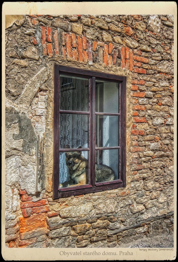 Ein Bewohner eines alten Hauses