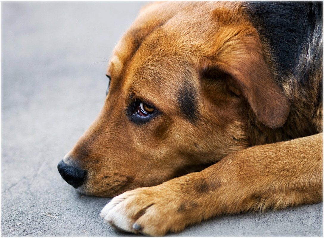 Potoskuy mit mir ...