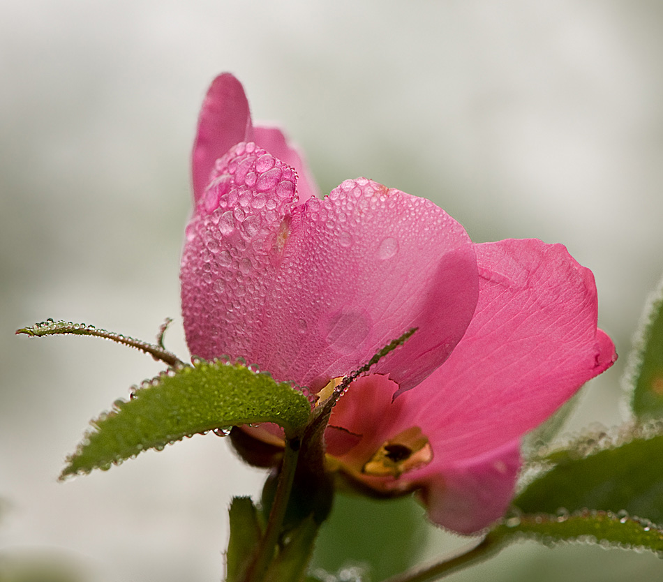 "Sun will nicht warten, warten Sie nicht ..."