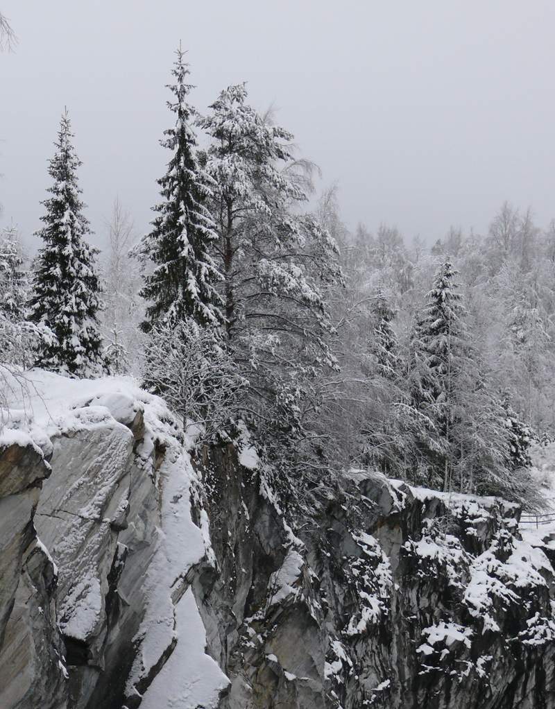 In der nördlichen Wildnis