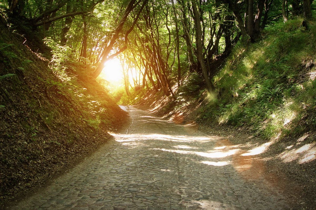 The road to the castle