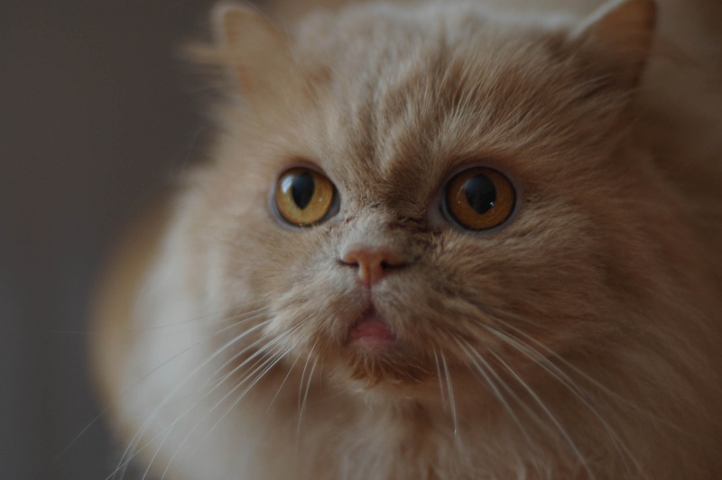 Kuzma ist überrascht