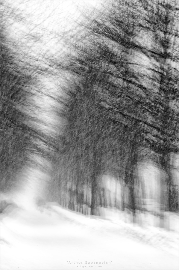 [ The Long Road to the New Year ]