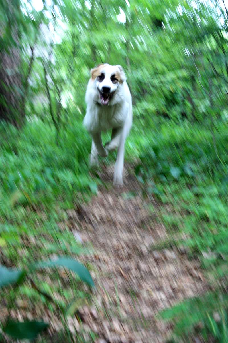 Warum die Leute nicht fliegen?