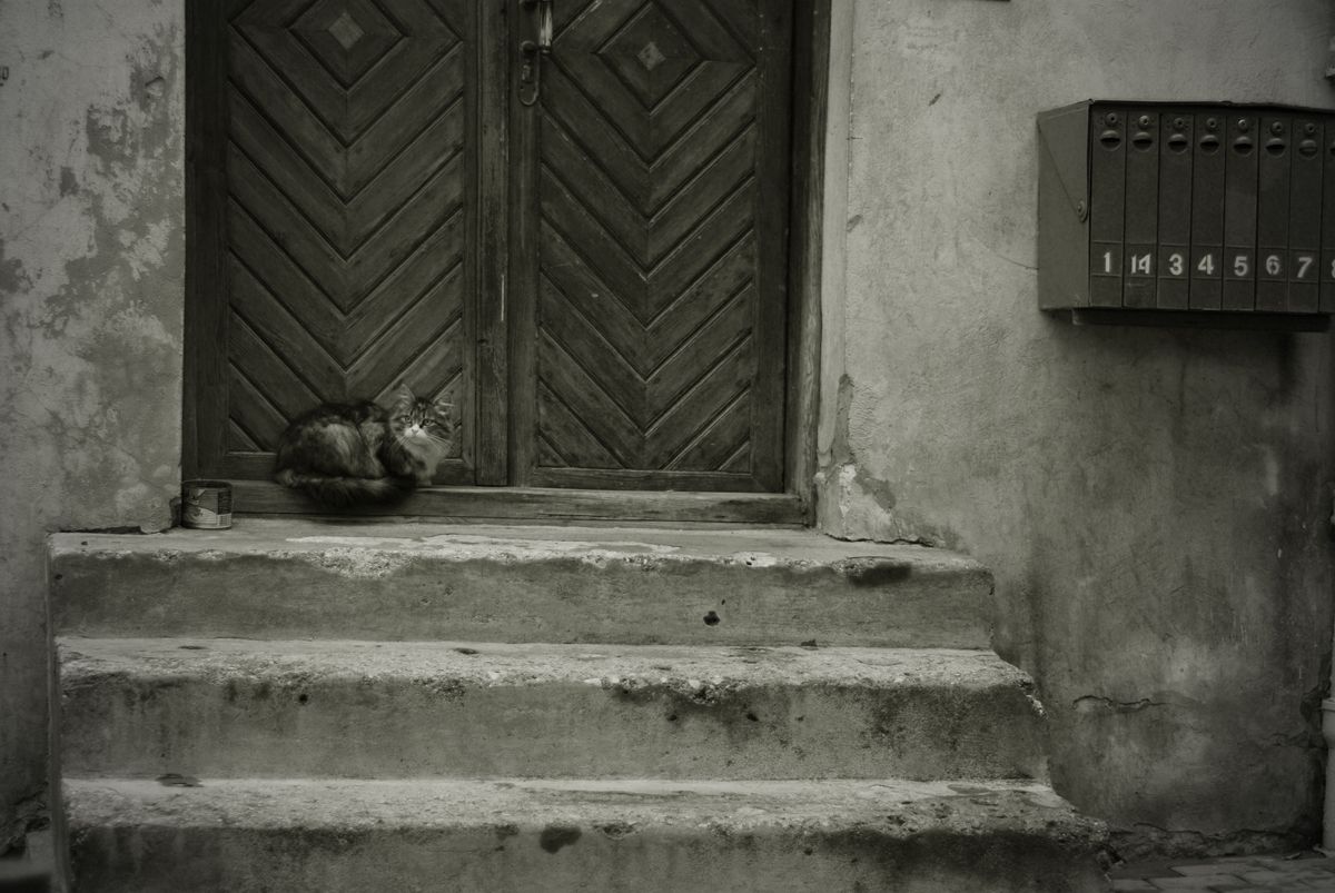 Wohnen in kleinen Werften ...