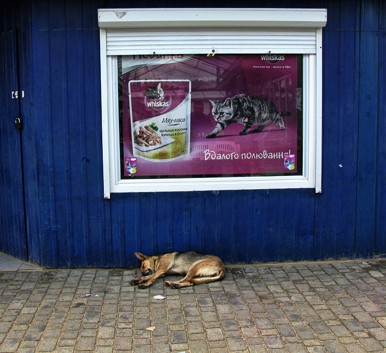 Tischkow, Nishku ...