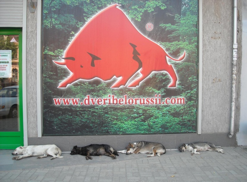 Als Sub-Träumen Norden.