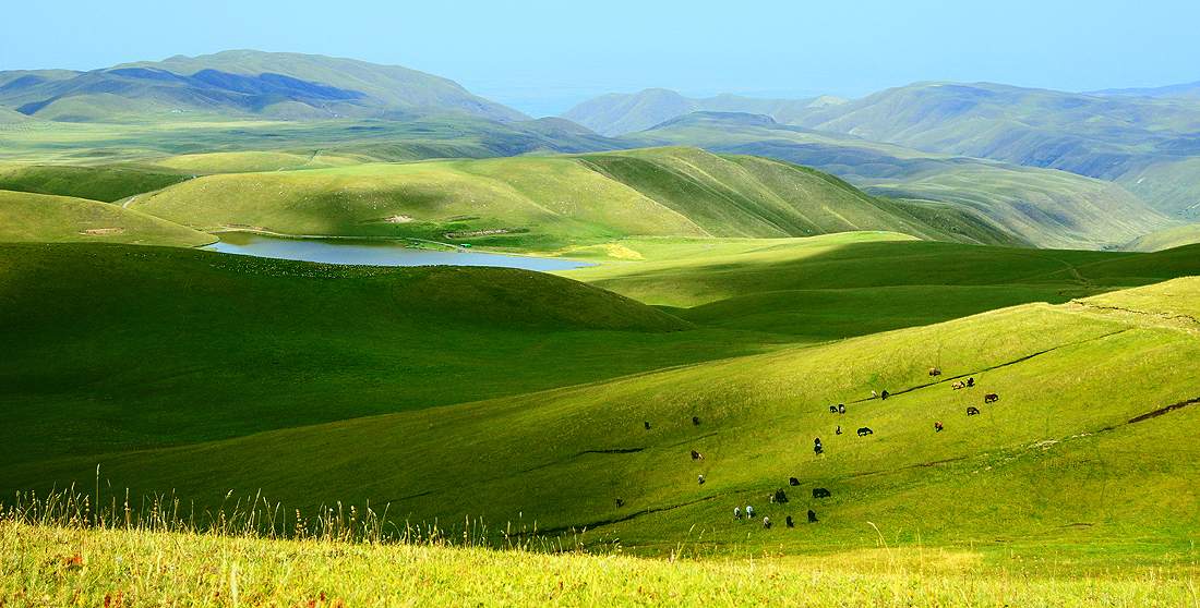 Landschaft mit Pferden