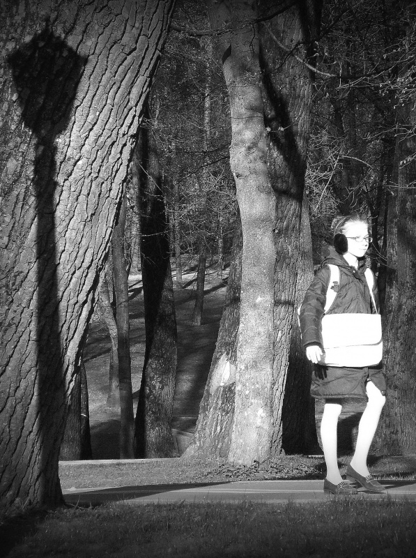 ... Walk in the Park