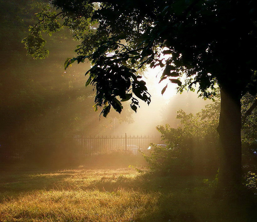 Morgenlicht in den Armen von Nebel