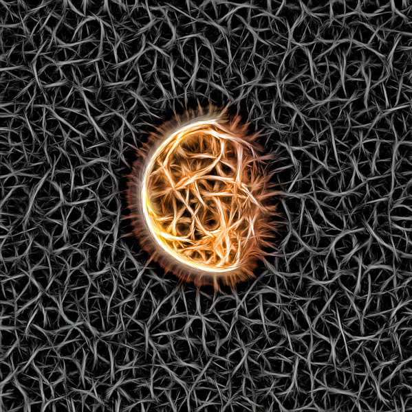 Phantasmagoria / Mond.