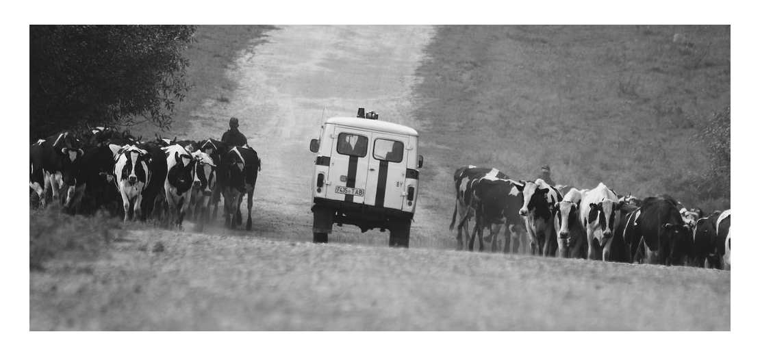 Jeder hat einen Job!