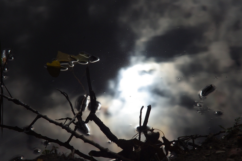 Herbst ... Traurigkeit ...