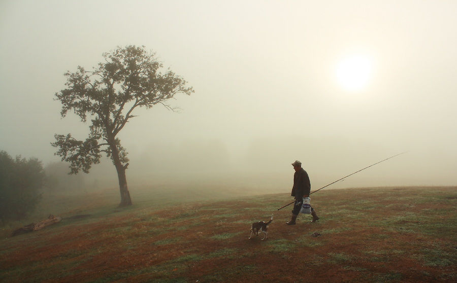 Liebhaber von Fischen