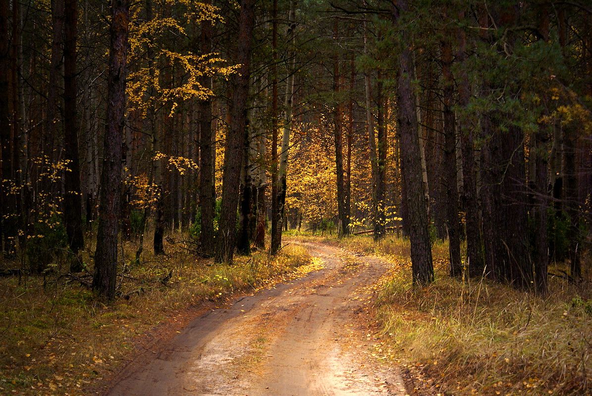 Herbst sanft legen ...