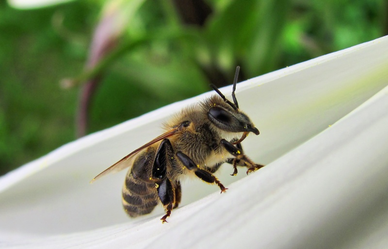 Nun, so ähnlich wie Makro)))