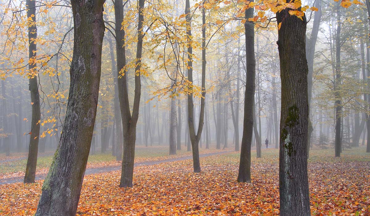 Ein Spaziergang im Herbst