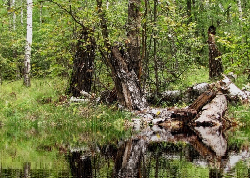 Fallende und steigende