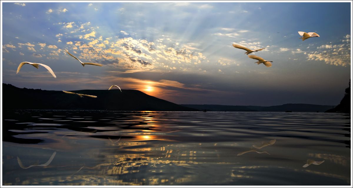 Flug bei Sonnenuntergang