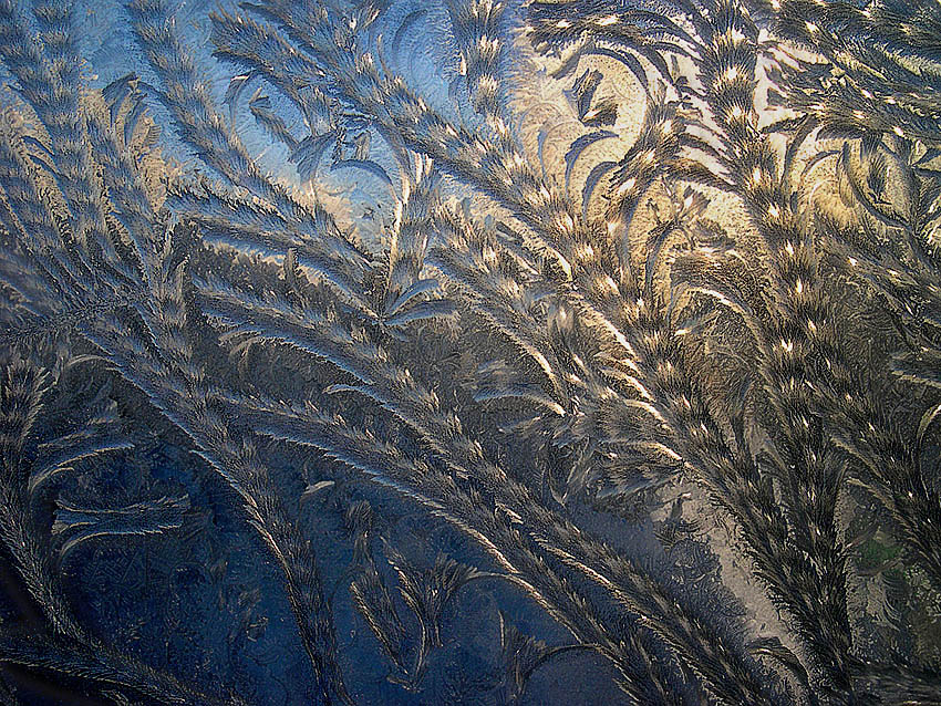 Frosty Muster - "Auf dem Meeresgrund ..."