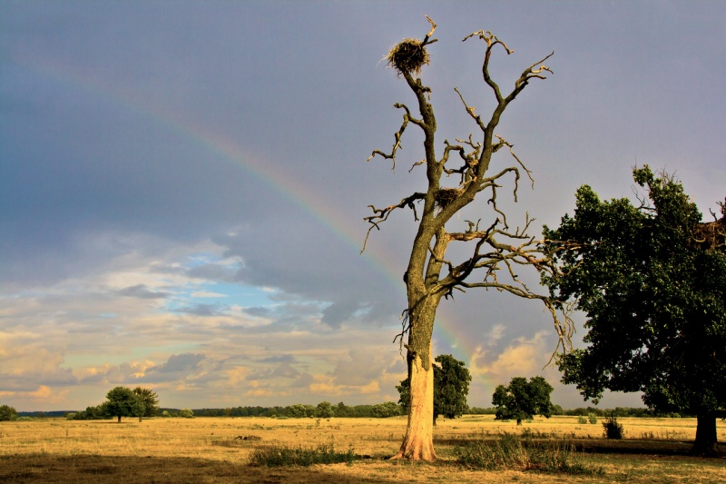 Rainbow at Sunset