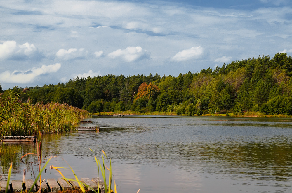 Vorboten des Herbstes.