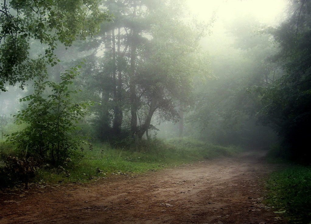 Zärtlichkeit im September