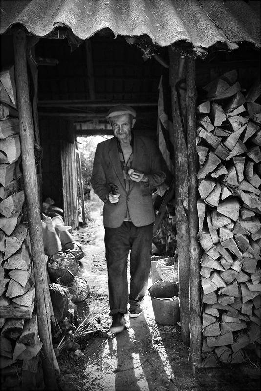 Möchten Sie einen Apfel?