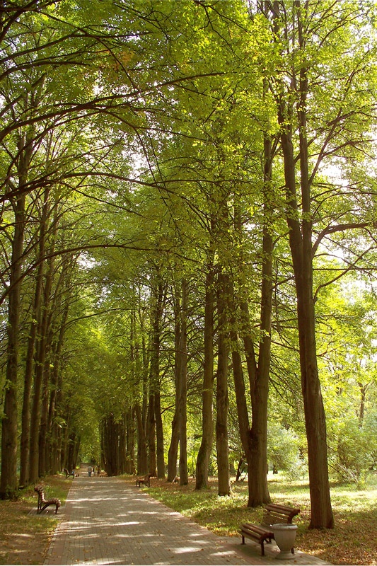 Abschied von Sommer ...