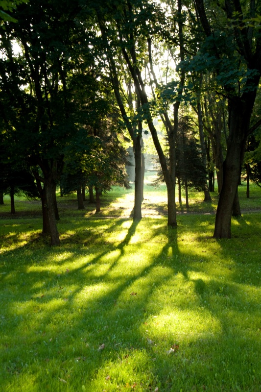 Morgen in Minsk Park