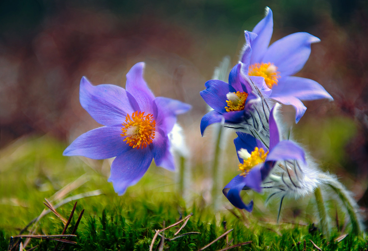 Es war nur zu Beginn