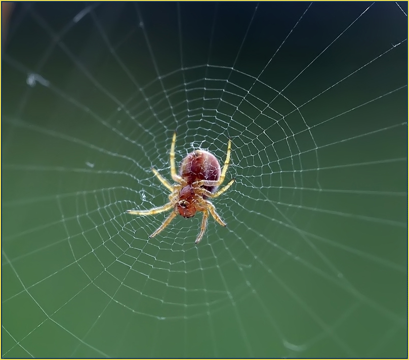 Heavenly Nacktheit ...